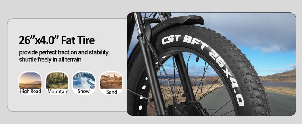 ECOCOGY single motor fat tire ebike