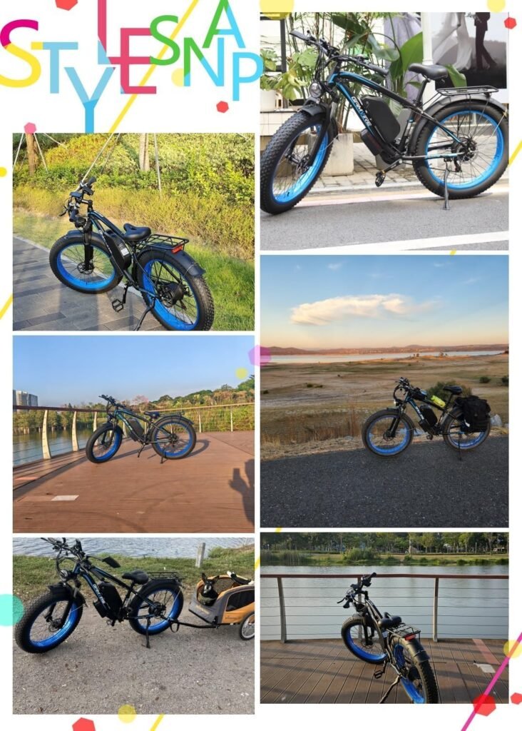 ECOCOGY all terrain ebike custom